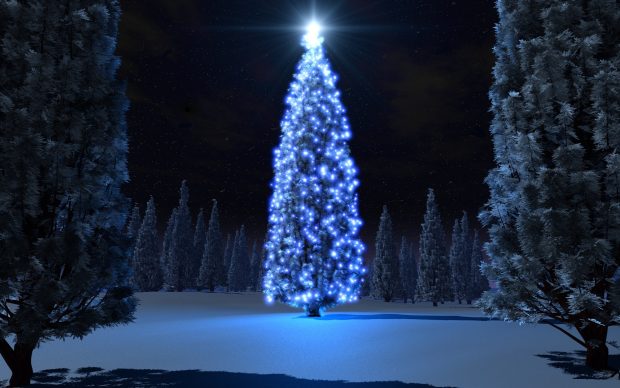 Photos Christmas HD Live Download.