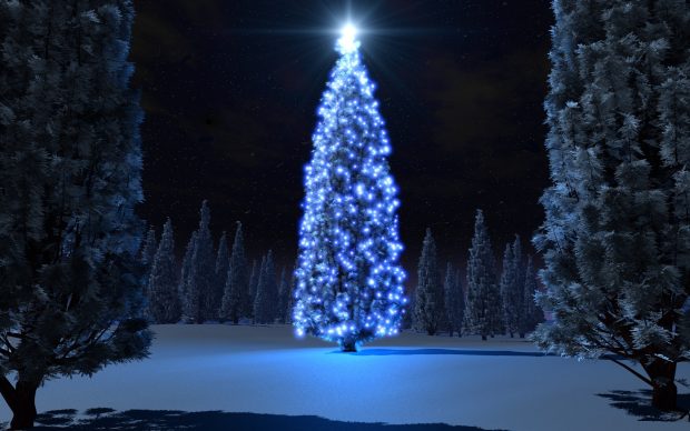 Photos Christmas HD Live Download.