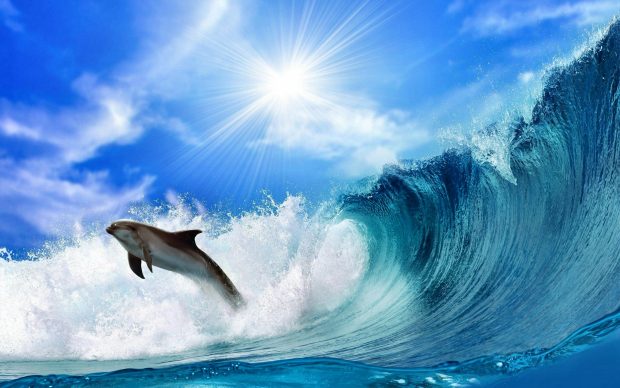 Photos Dolphin Download.