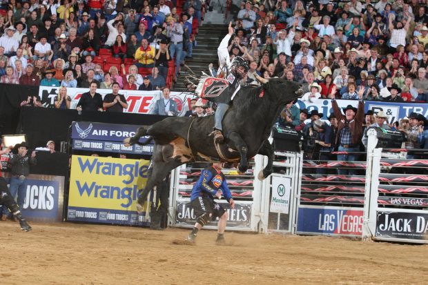 Pics Bull Riding.