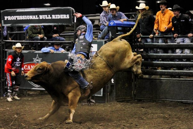 Pictures Bull Riding HD.