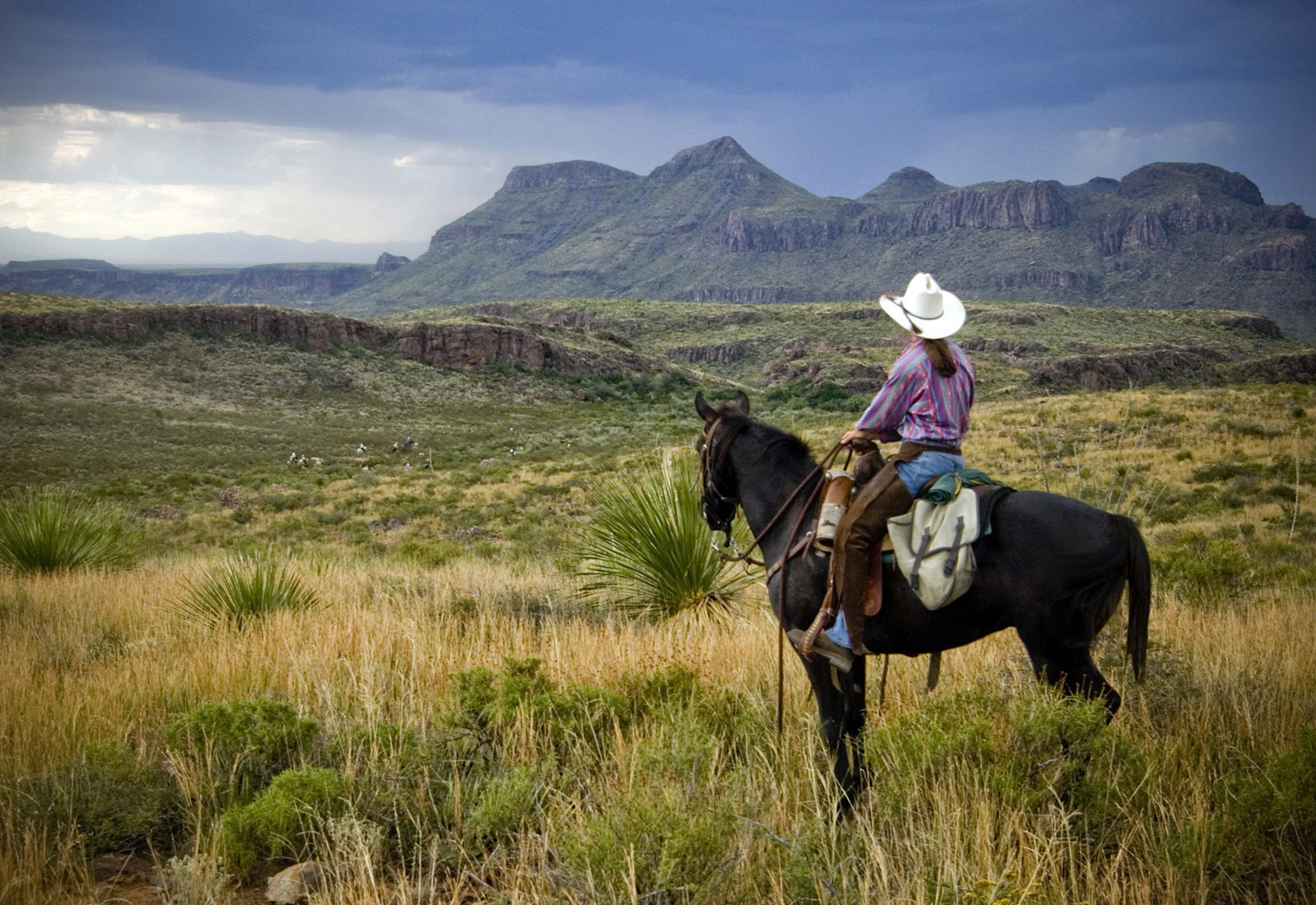 Amazoncom AOMACA Vintage Posters Western Country Art Cowgirl Oil Painting  Art Posters Wall Decoration Posters  Prints Wallpaper Bedroom Decoration  Wall Art 20x26inch51x66cm Posters  Prints