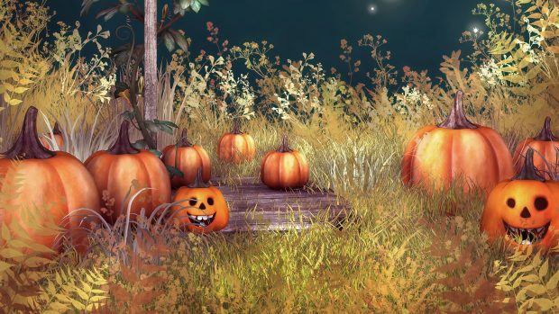 Pumpkin Halloween HD Background.