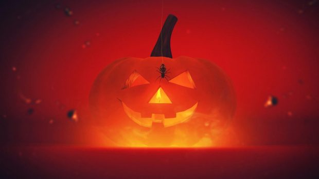 Pumpkin Halloween HD Wallpaper.