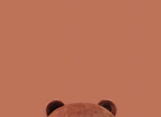 Rag Roll Cute Cartoon Bear iphone 7 wallpaper.