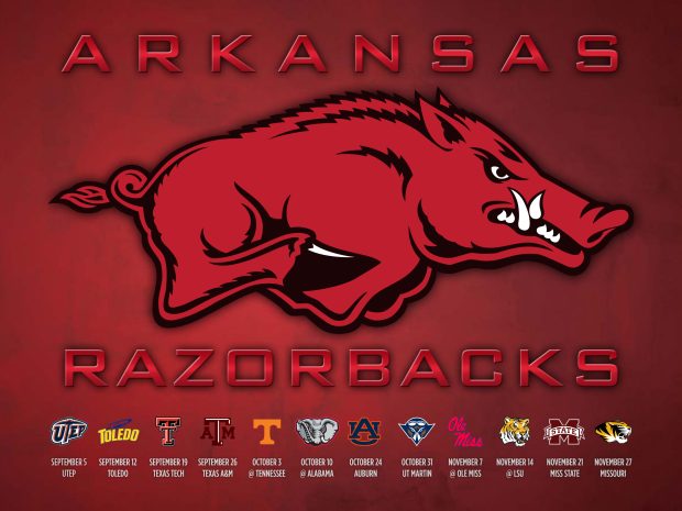 Razorback HD Wallpaper.