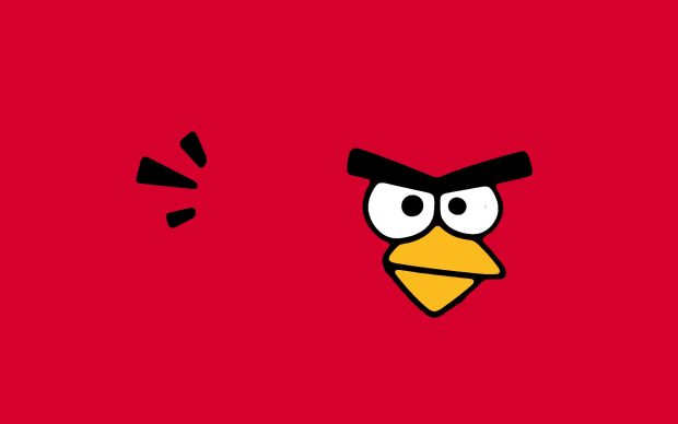 Red Angry Birds Wallpaper.