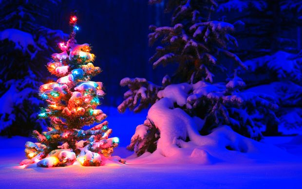 Snowy christmas tree lights wide.