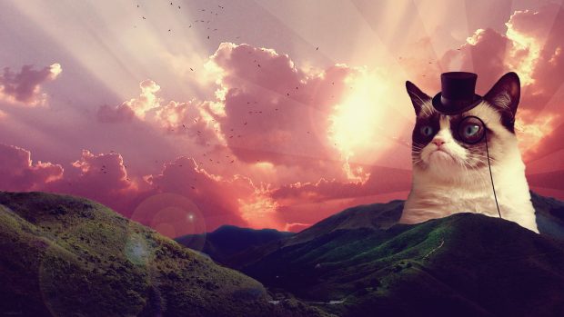 Space laser cat photo wallpapers.