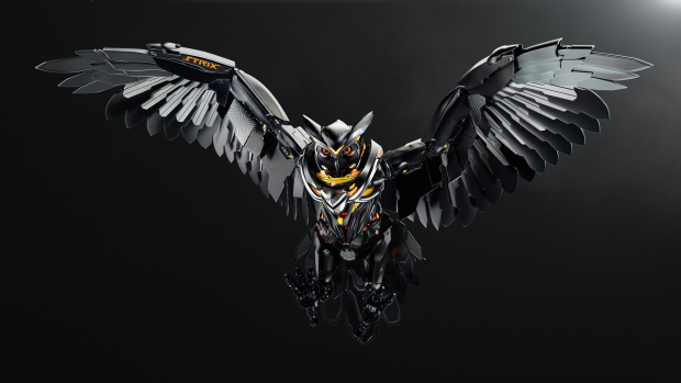 Strix owl image 2560x1440.