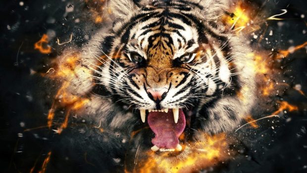 Tiger dangerious scene 3D wide wallpapers.