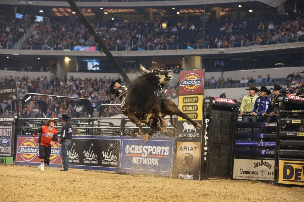 Wallpapers Bull Riding HD.