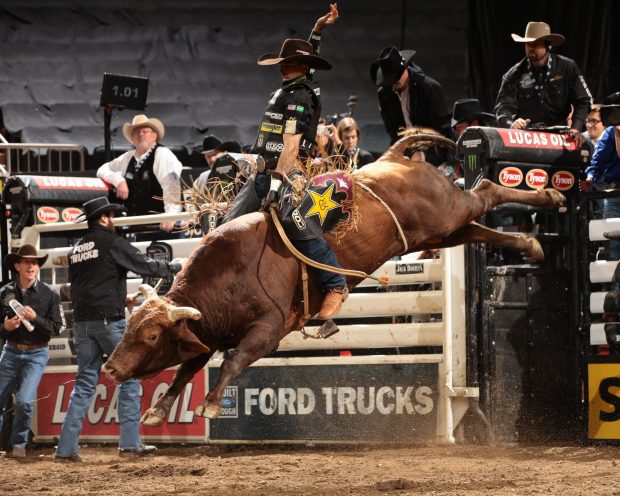 Wallpapers HD Bull Riding.