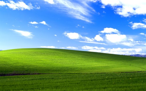 Windows XP Bliss Wide.