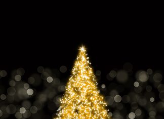 iPad retina wallpaper sparkling christmas tree parallax.