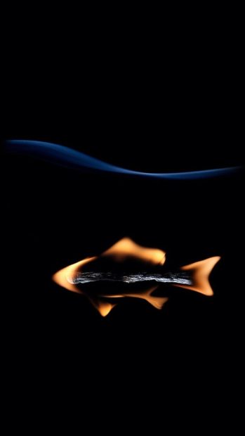 Abstract Fish Match Ash Art iphone 7 Pictures.