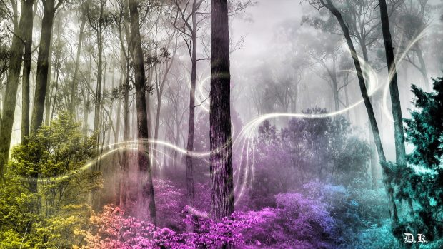 Art Images Enchanted Forest.