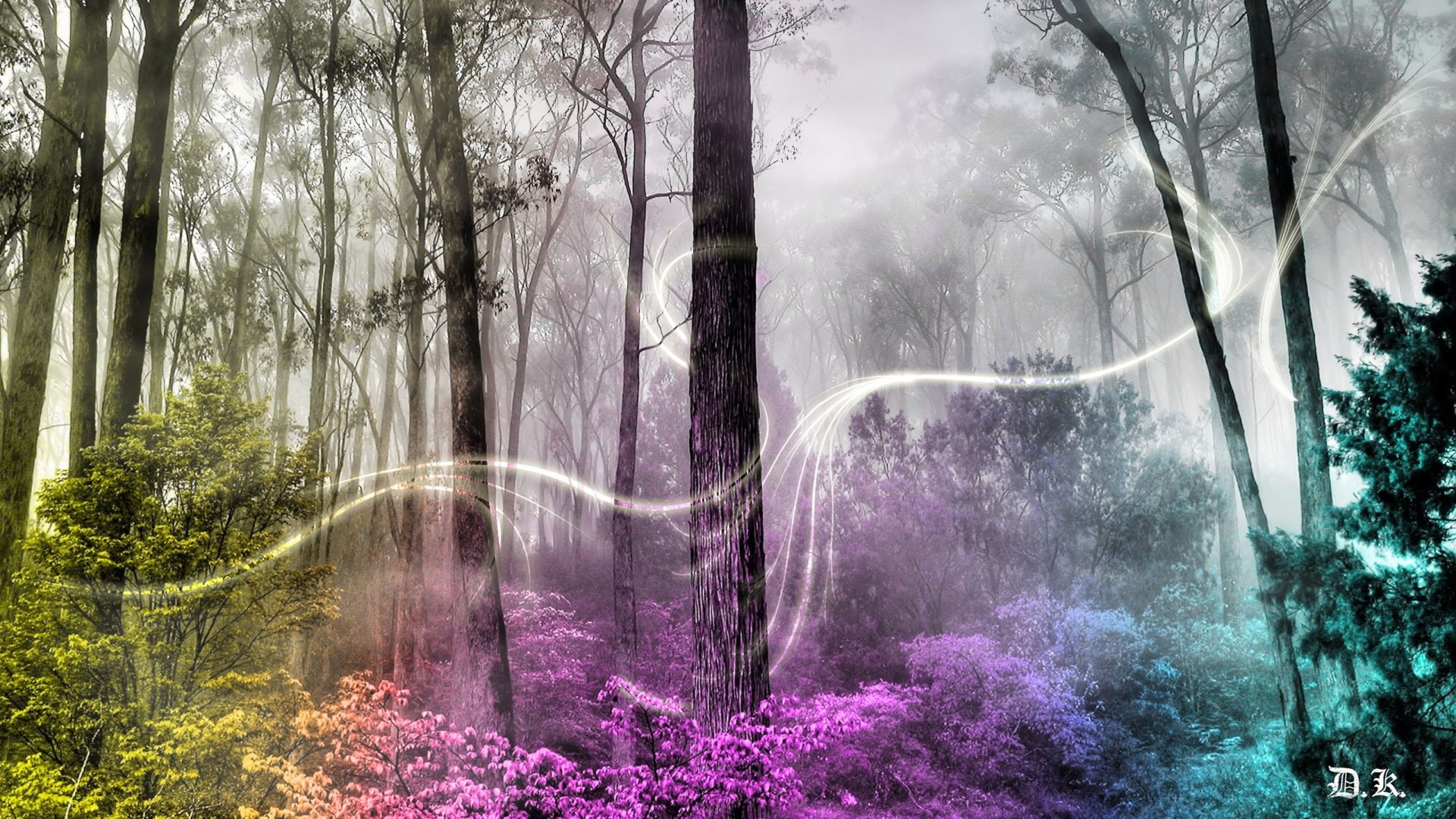 Enchanted Forest Wallpapers HD 