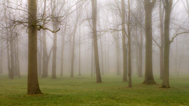 Backgrounds Fog Download.