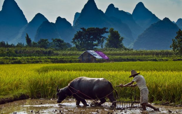 Backgrounds HD Farming Download.