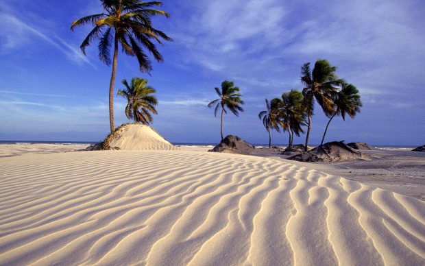 Bahia salvador brasil dunes brazil computer na dunas.