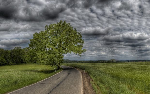 Country Road HD Background.