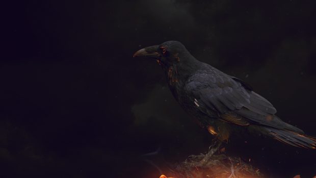 Crows Full HD Background.