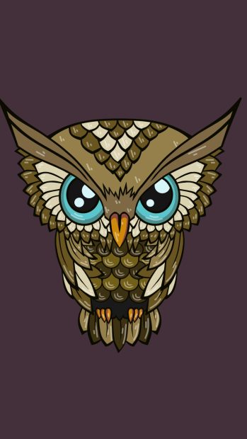 Cute Owl Wallpaper HD for Android.