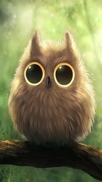 Cute Owl Widescreen Wallpaper for Android.