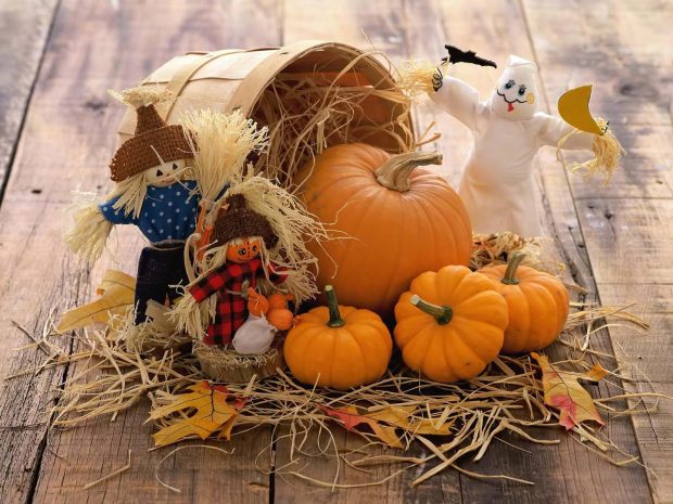 Cute Thanksgiving Desktop Background.