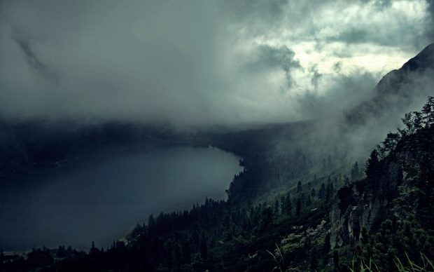Dark foggy forest and lake pictures.