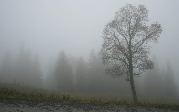 Desktop Fog Backgrounds.