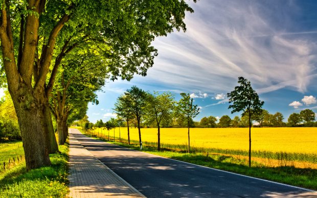 Download Free Country Road Wallpaper.