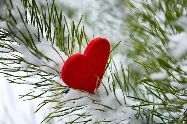 Download Free Winter Love Wallpaper.