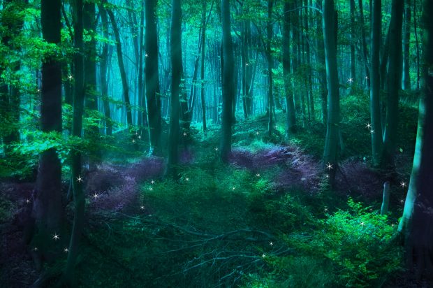 Enchanted Forest Backgrounds For Desktop.