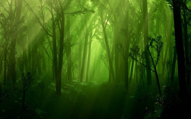 Enchanted Forest Backgrounds Free Download.