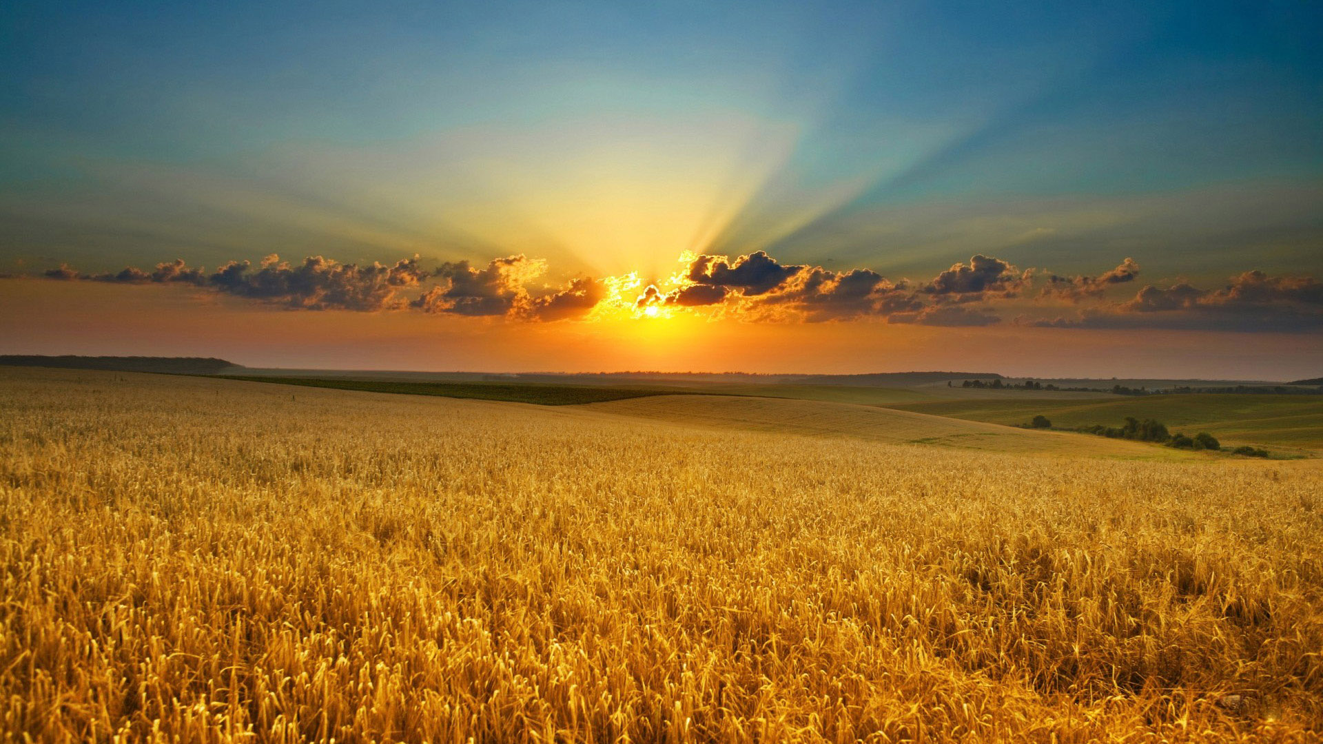 Farming Backgrounds Download Free 