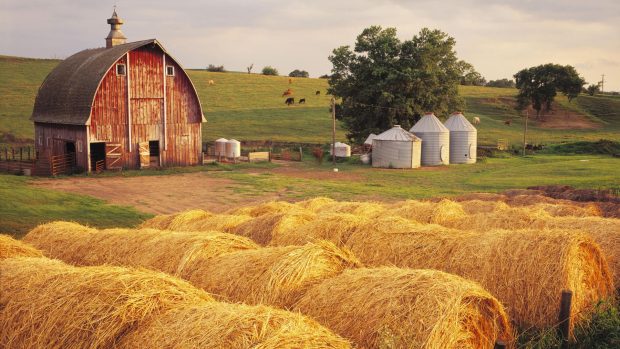 Farming Wallpaper HD Free Download.