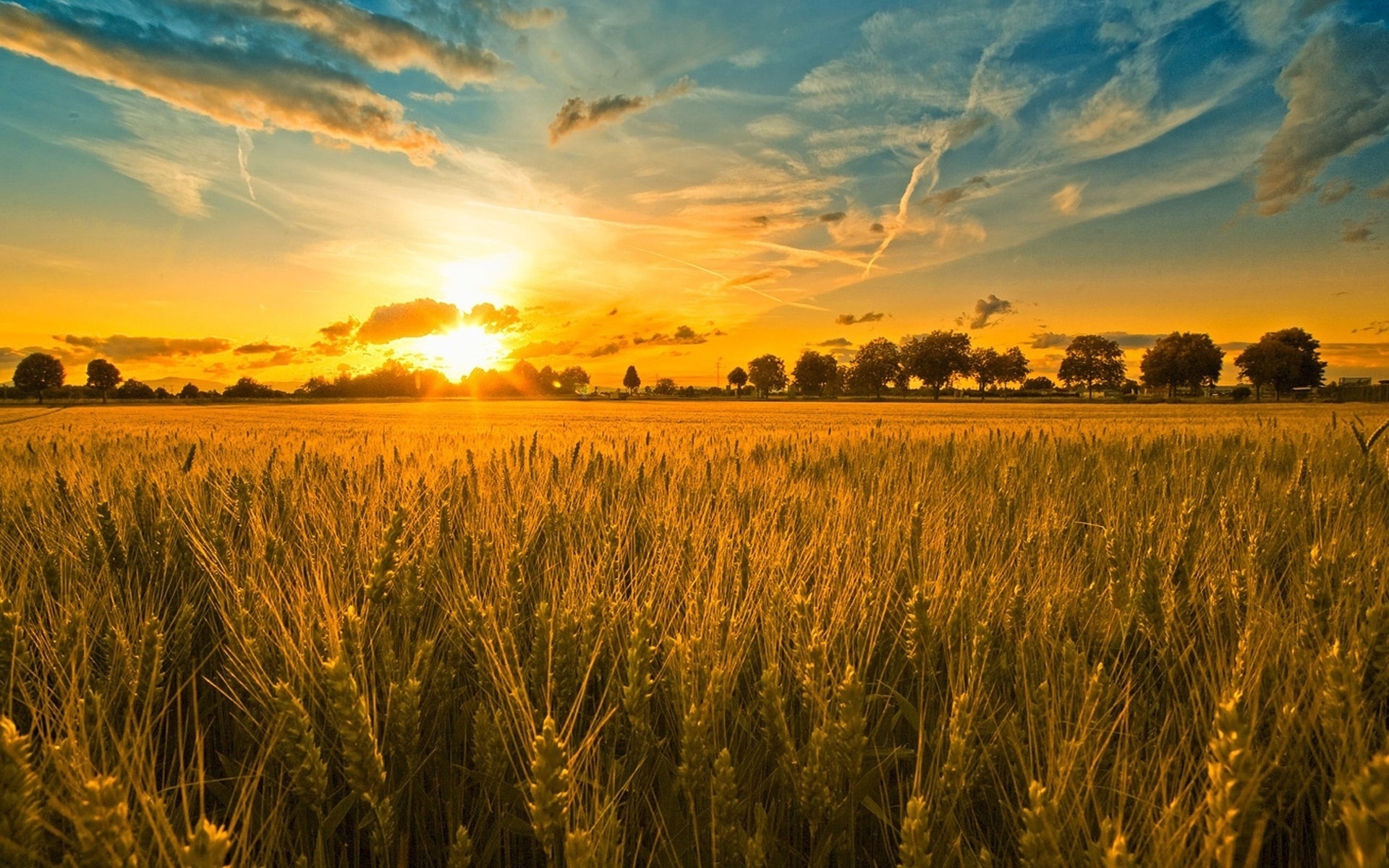 Farming Wallpaper HD | PixelsTalk.Net