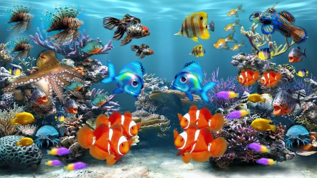 Fish Tank Wallpapers HD.