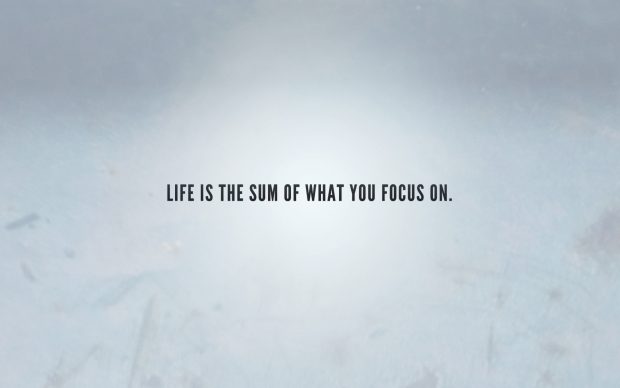 Focus Wallpapers Free Download.