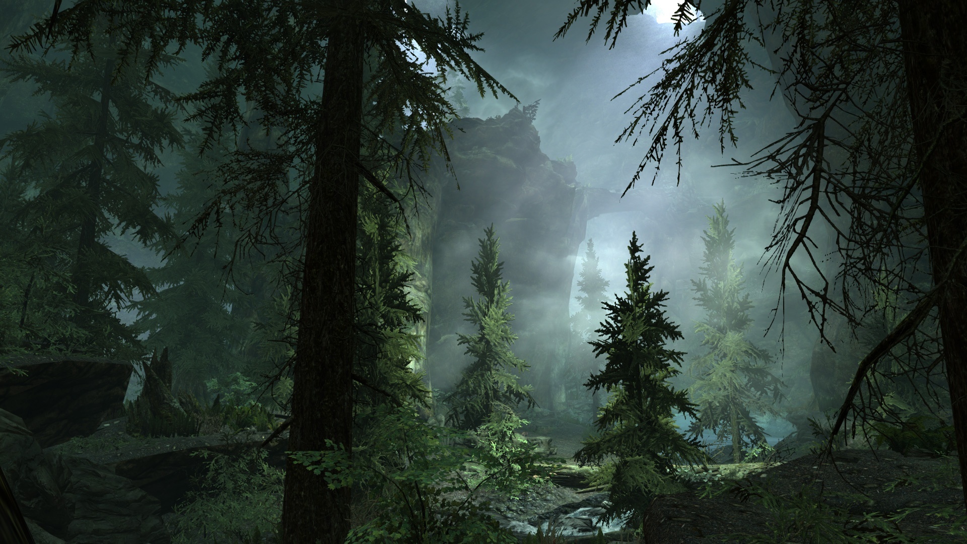 Foggy Forest Backgrounds Free Download - PixelsTalk.Net