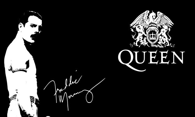 Freddie mercury queen wallpaper hd.