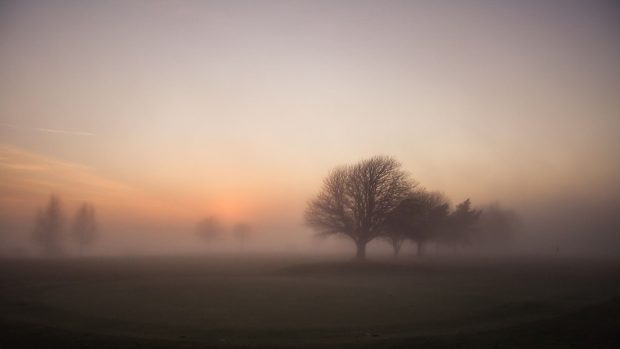 Free download fog wallpaper.