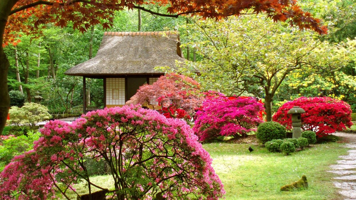 Garden Wallpapers HD - PixelsTalk