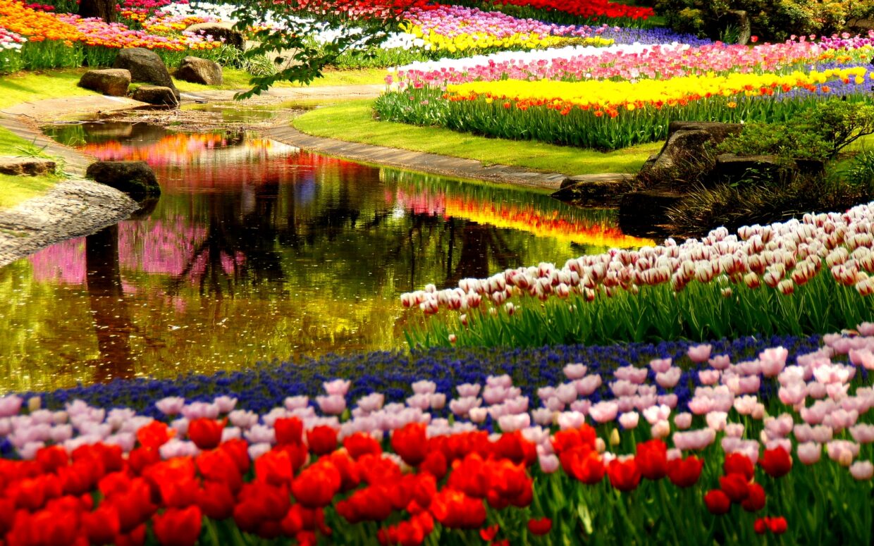 Garden Wallpapers HD - PixelsTalk