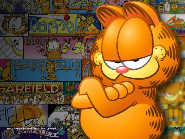 Garfield Wallpaper HD 1920x1440.