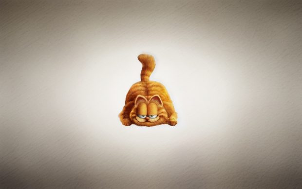 Garfield the cat uhd wallpapers coda craven.