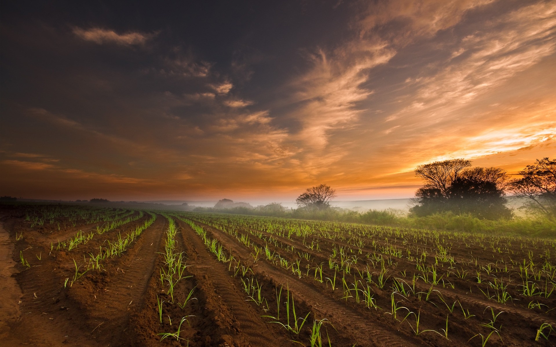 Farming Wallpaper HD | PixelsTalk.Net