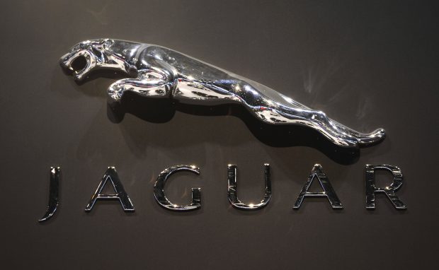 Jaguar famous logo wallpaper 3500x2158.